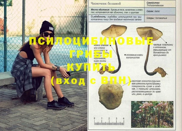 a pvp Краснотурьинск